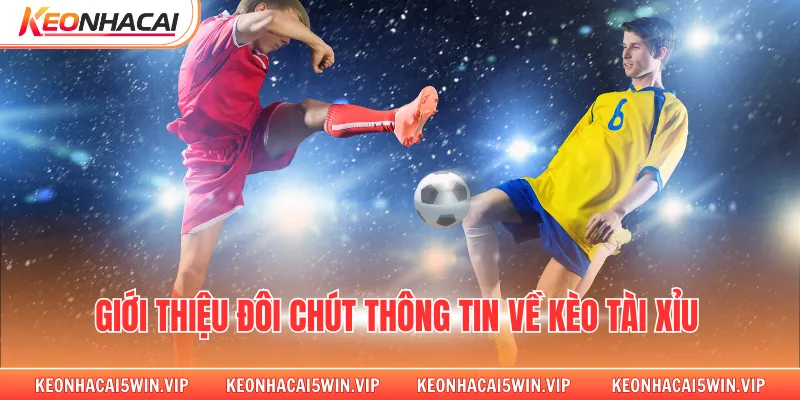 Giới thiệu đôi chút thông tin về kèo tài xỉu