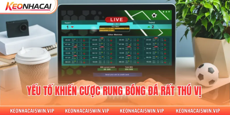 Yếu tố khiến cược rung bóng đá rất thú vị