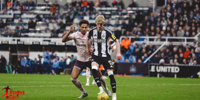 Newcastle vs Brentford đều đang nỗ lực cho mục tiêu riêng Newcastle vs Brentford đều đang nỗ lực cho mục tiêu riêng