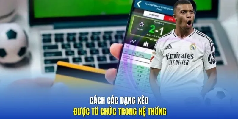 Cách các dạng kèo được tổ chức trong hệ thống 